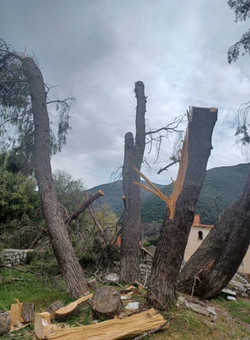 486788391 9772484346151847 931980488324294692 n