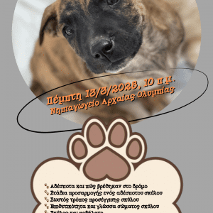 #drasi adespota katsikas arxaia olympia nipiagwgeio anakoinwsi