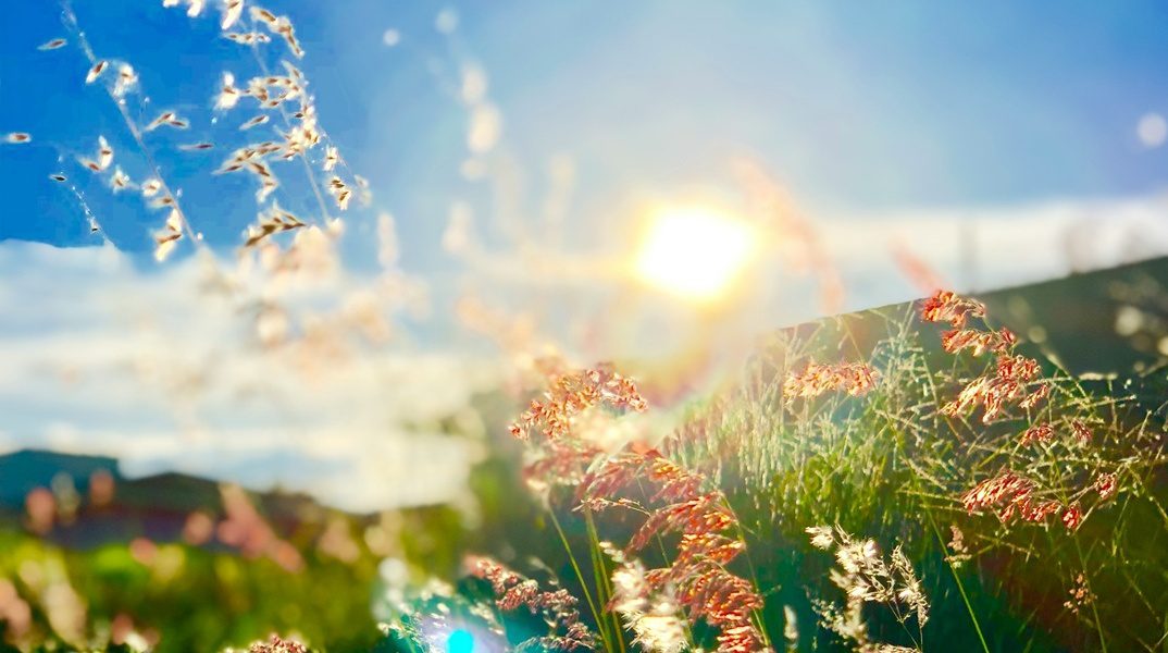 earini isimeria anoixi