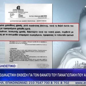 panagiotakisfostounel