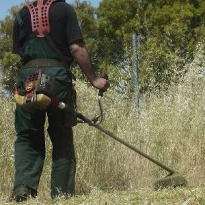 xorta katharisma oikopeda