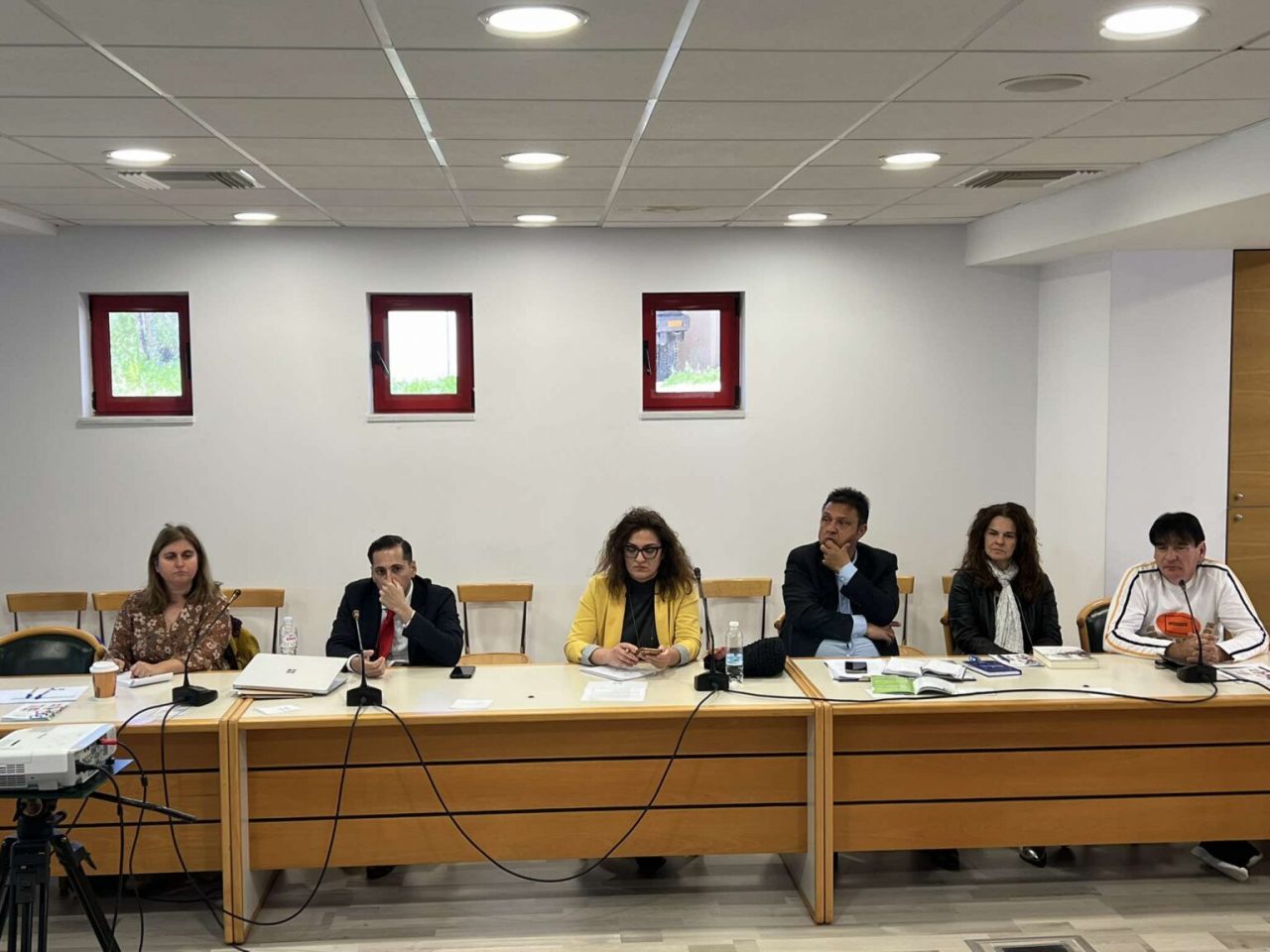 SYNANTHSH ROMACT HLIDA 2 1536x1152