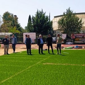 amalaidastadioergadiamrxossynergtes