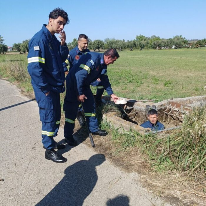 Άνδρες της Πυροσβεστικής Υπηρεσίας Αμαλιάδας διέσωσαν σκύλο