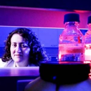 Βάσω Αποστολοπούλου