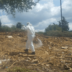 ΕΡΓΑΣΙΕΣ ΑΠΕΝΤΟΜΩΣΗΣ ΣΤΗΝ Π.Ε. ΗΛΕΙΑΣ 2