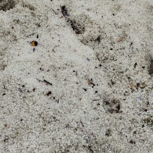 χαχλαζι xalazi