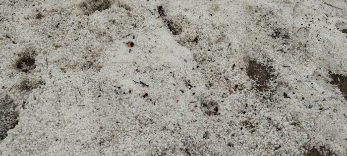 χαχλαζι xalazi