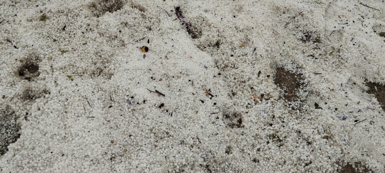 χαχλαζι xalazi