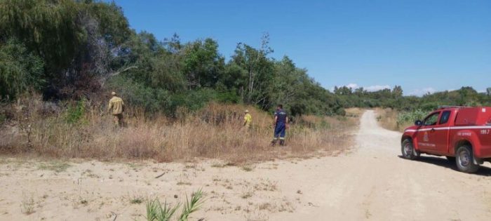 EKSAFANISH HLIKIWMENOY GLYFA 2 768x346