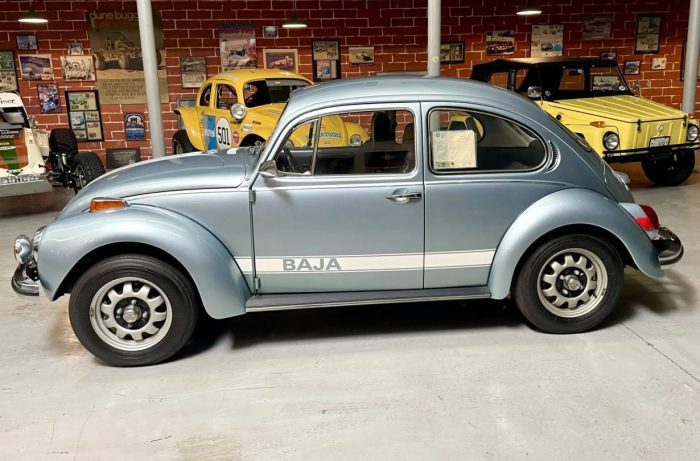 Volkswagen Beetle 53 ετών
