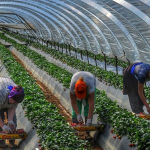 ergatethermokipio malnolada