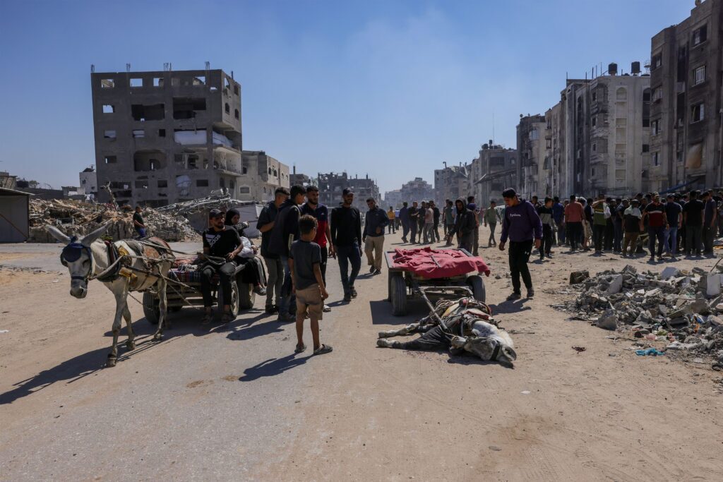 gaza