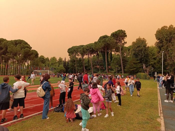 image 19 23 1024x768