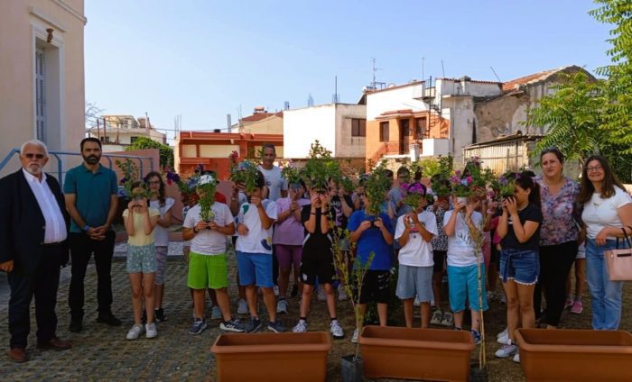 1 DRASH TATANEIO 1391x843