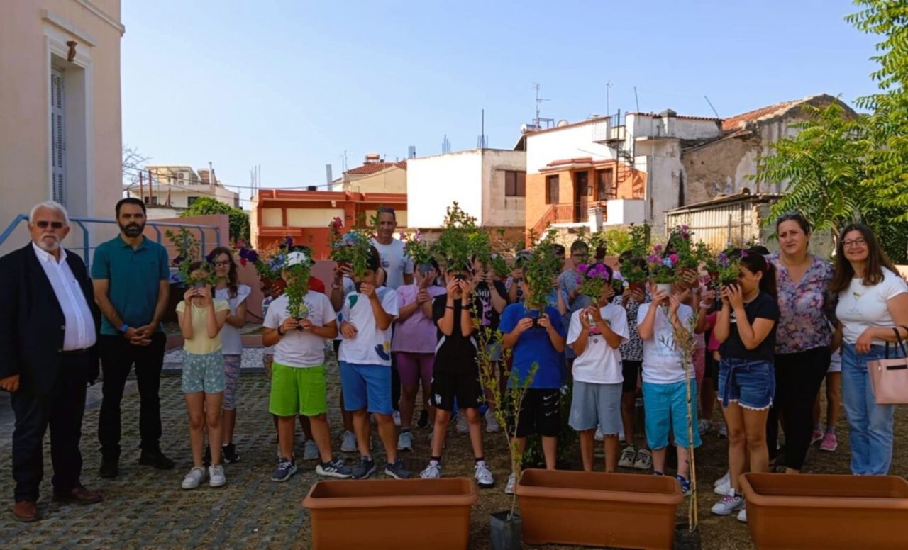 1 DRASH TATANEIO 1391x843