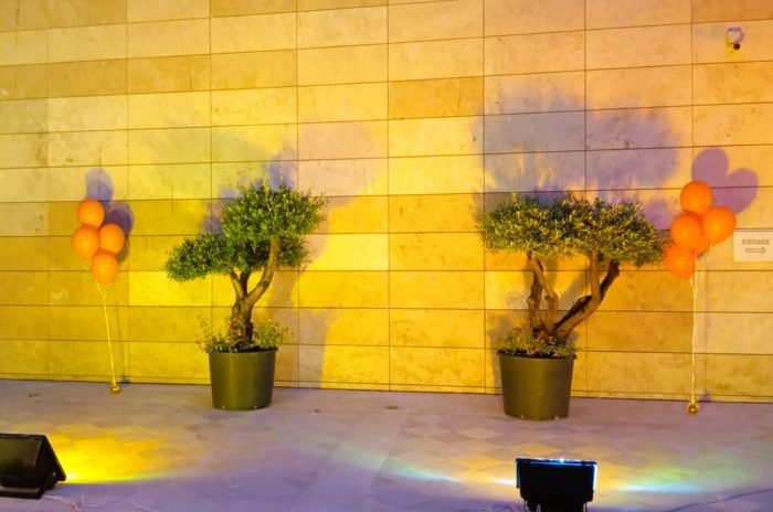 503878364 1100665188758343 2872007420277281864 n