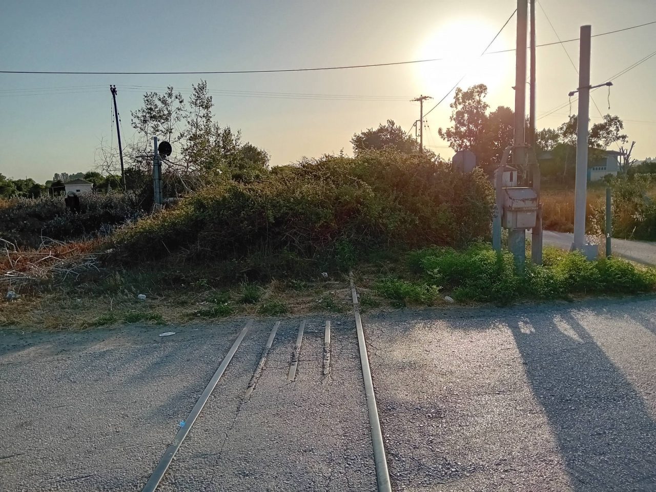 506621472 24107928515514191 1032781632926486560 n