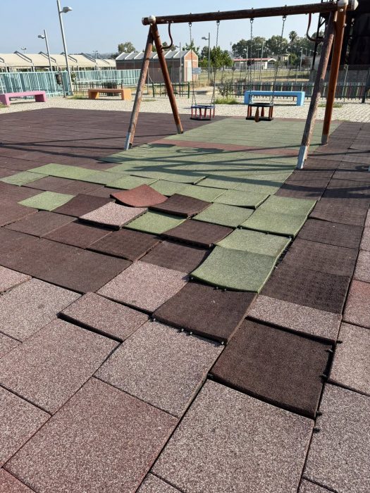 509428155 1203245094938353 3685222353259587227 n