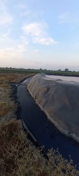 514317195 24160330360270421 5277539929735982078 n