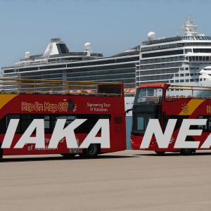 katakolo lim,ani kokkina leoforeia