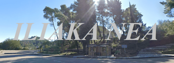 olympia palio mouseio