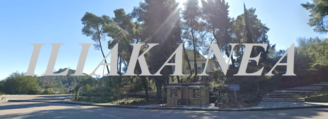 olympia palio mouseio