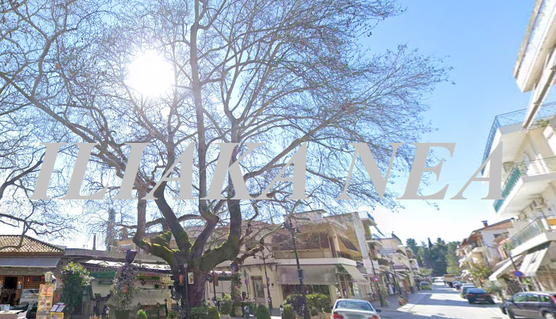 olympia polh