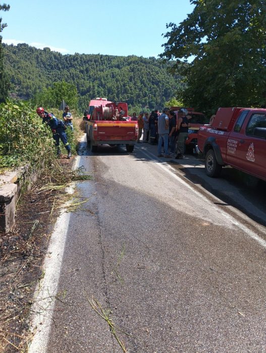 pyrosvestika oximata