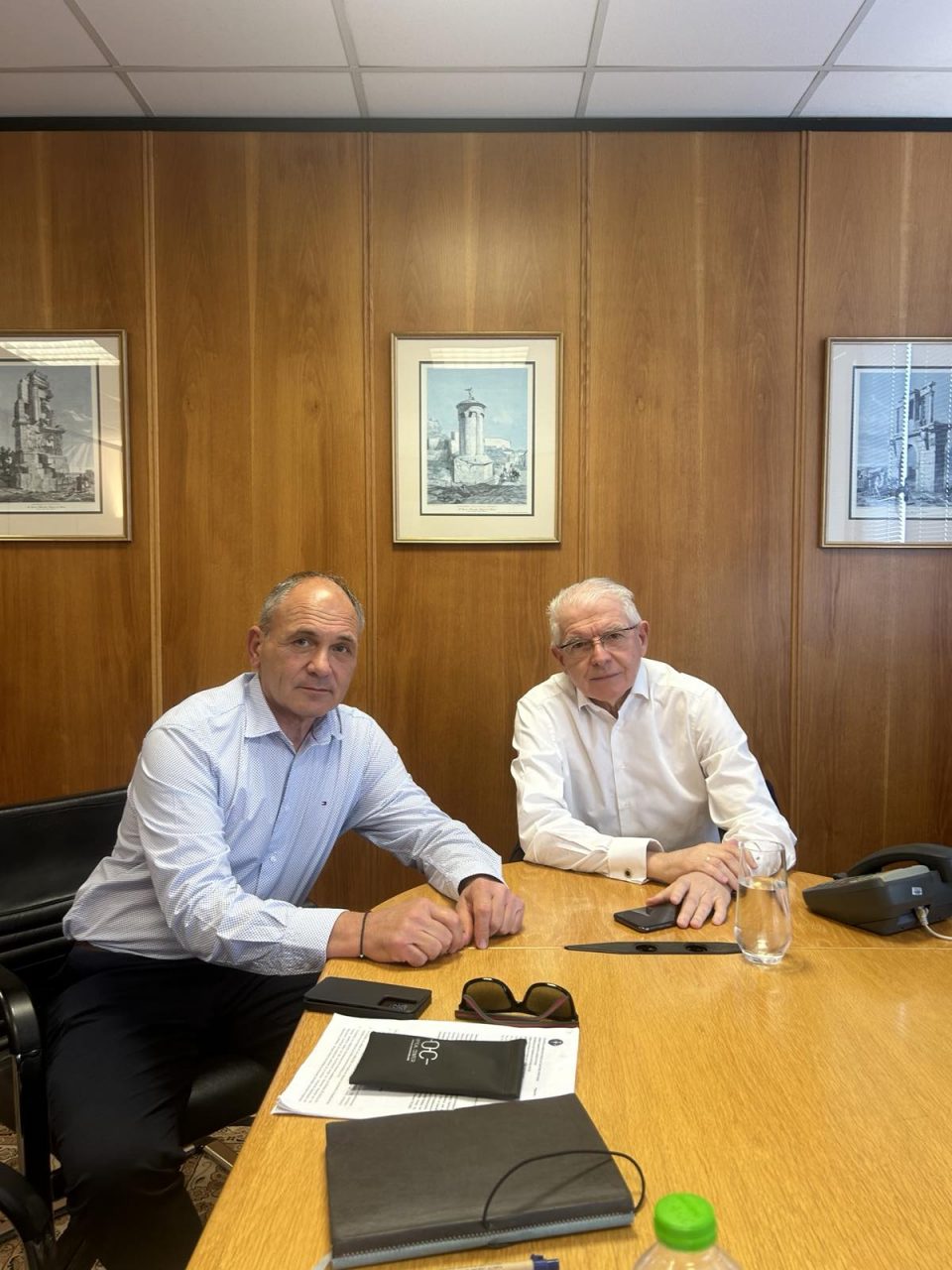 sinantisi sofianou likourentzou elga