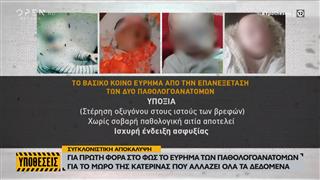 320 c9332d81 5fee 42fc 8d9a fc0447e2b143