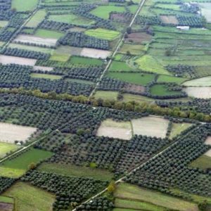 ektaseis aklliergies