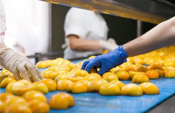 ergostasio syskeyssia