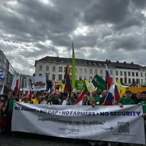 mo3JQbWM7TU573YpL1nT 3