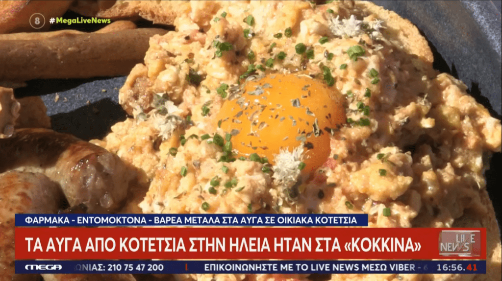 ΑΥΓΑΚΟΚΚΙΝΟ ΣΥΓΑΜΡΕΜΟΣ =ΜΕΓΑ