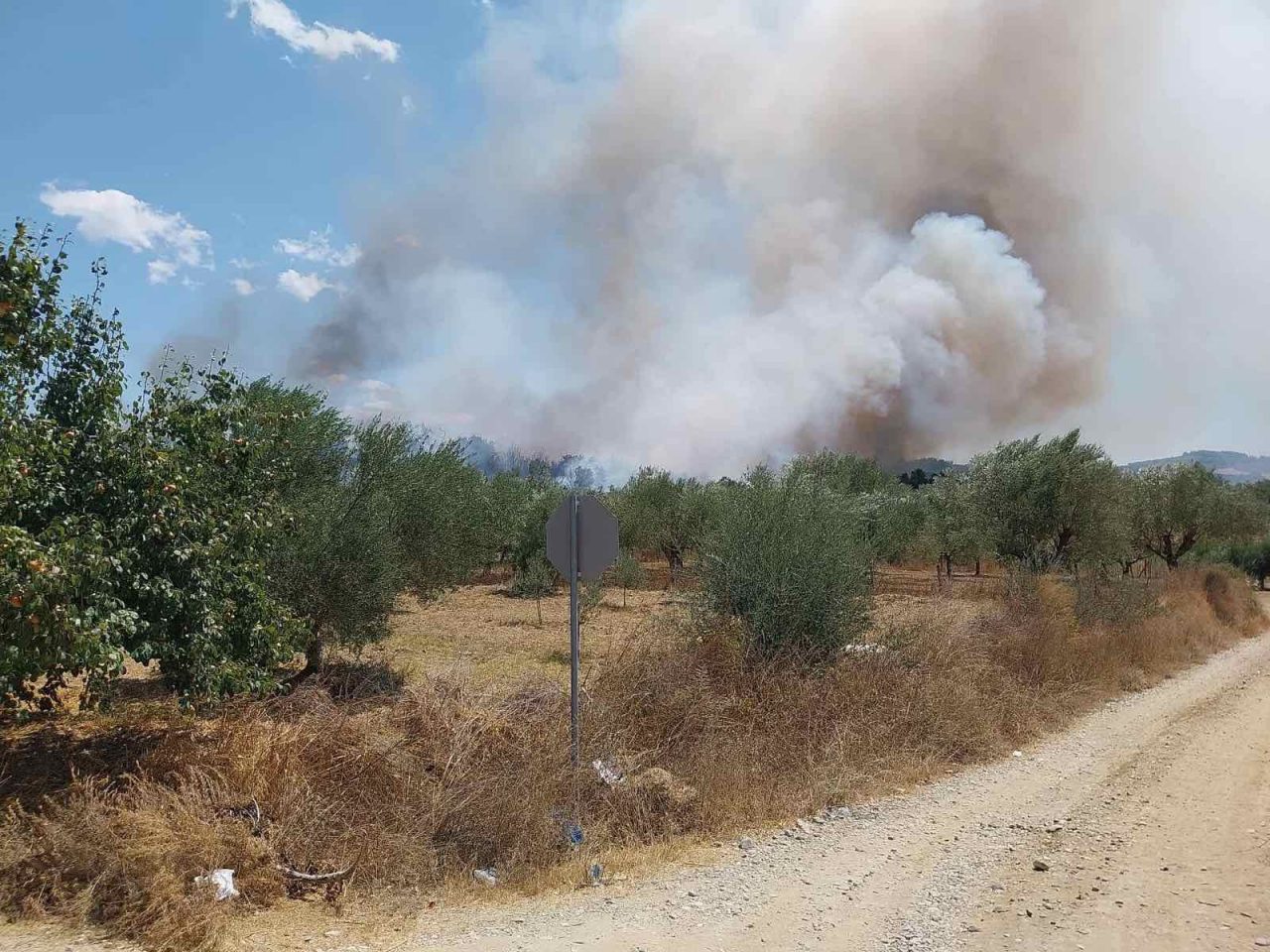 514288512 122230372622177802 3849648279576011918 n