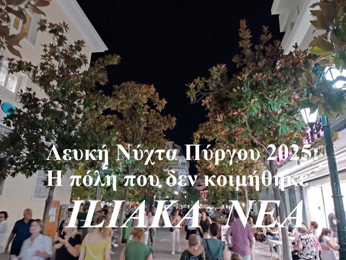 529346742 1315993526554215 2523588664995585557 n