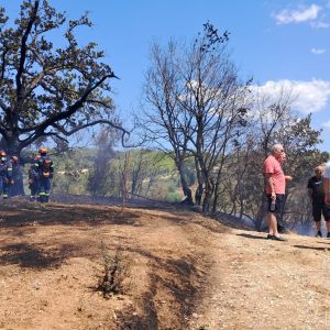 530987001 122230370546177802 6443058370779267773 n