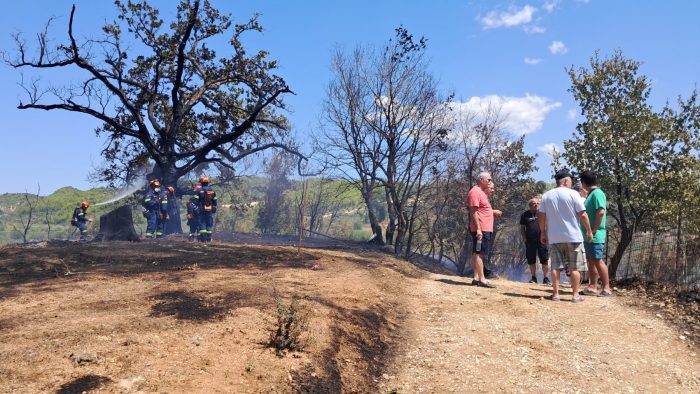 530987001 122230370546177802 6443058370779267773 n