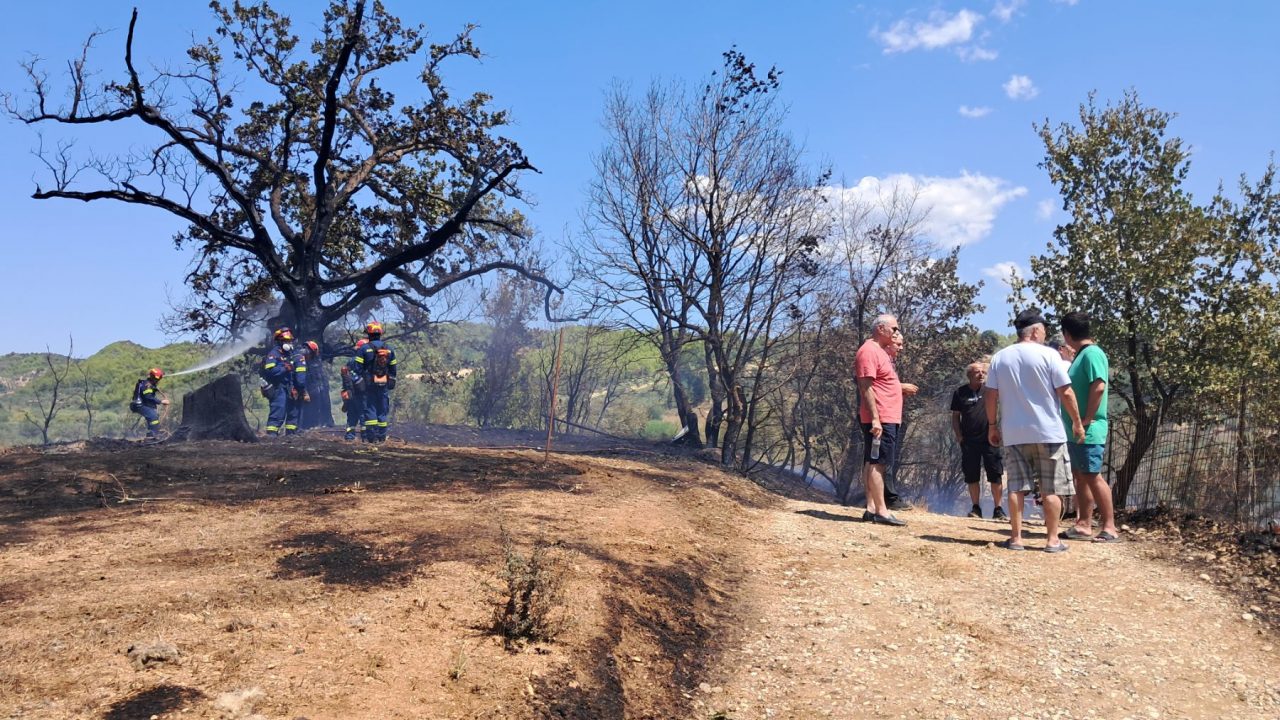 530987001 122230370546177802 6443058370779267773 n