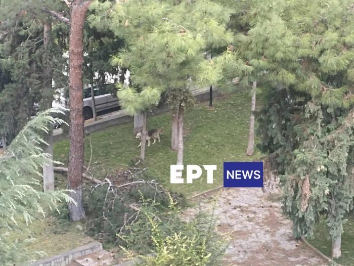 541122517 2222341941525263 707382230318138388 n 1024x769