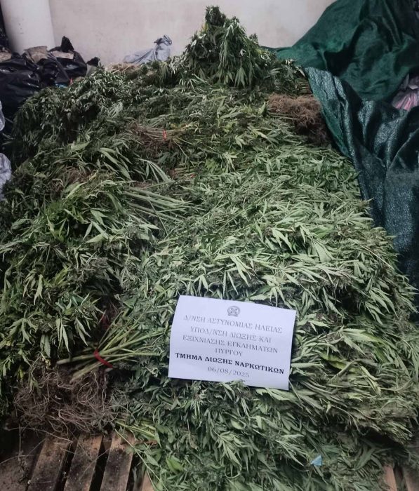 7 8 2025 ΤΔΝ ΠΥΡΓΟΥ 11