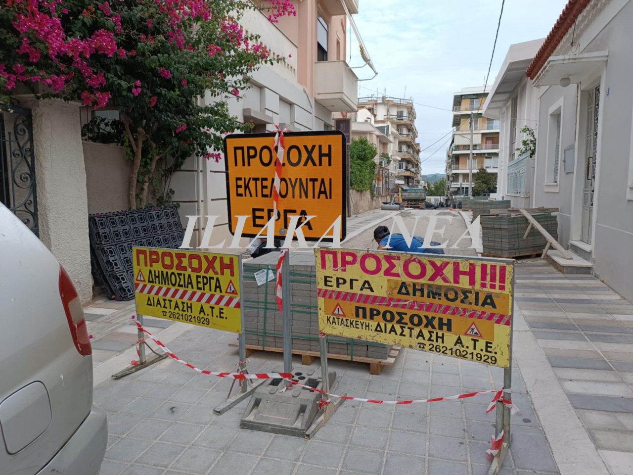anaplasi3 erga