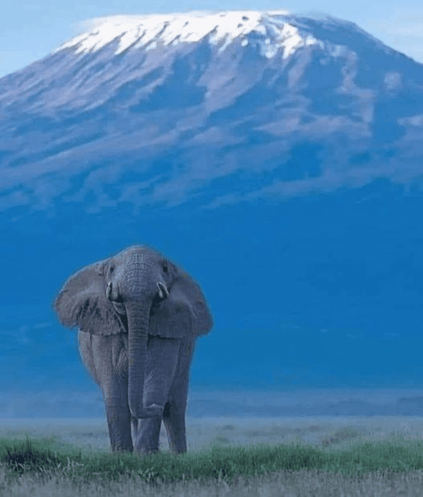 kenya3