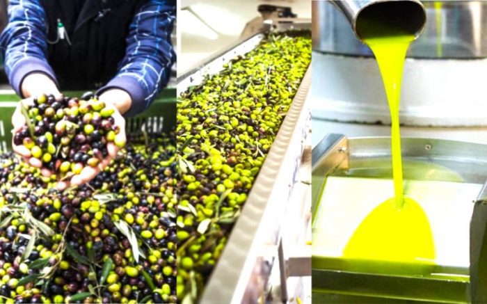 ladi elies elaiotrivio