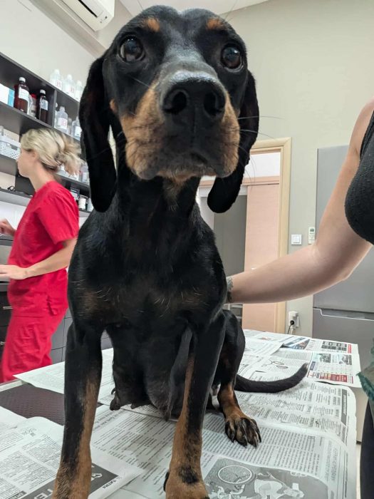 552415763 2007179530119206 4965991236531000981 n