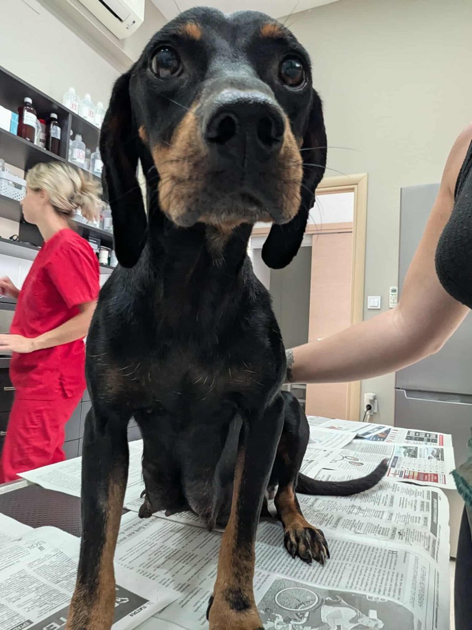 552415763 2007179530119206 4965991236531000981 n