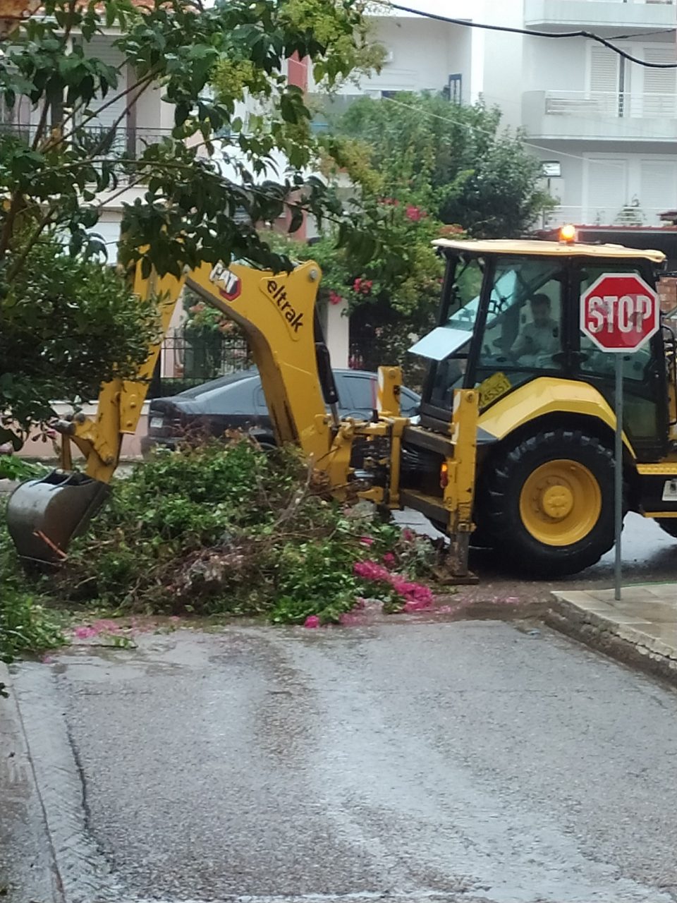 556853166 10233242347694605 6632028214347147306 n