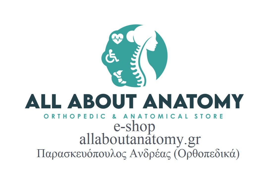 All About Anatomy