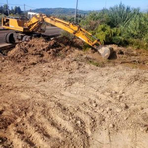 IMG ffad12f09fe68d46cf36c61d7cb13ffb V